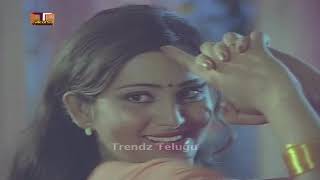 Alludugaru Zindabad Movie Songs || అత్తంటి ఇత్తంటి శోభన్ బాబు|| గీత || ట్రెండ్జ్ తెలుగు 