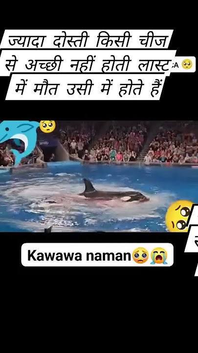 kawawa naman😭😭😭😭😭😭😭😭😭😭😭😭😭😭😭