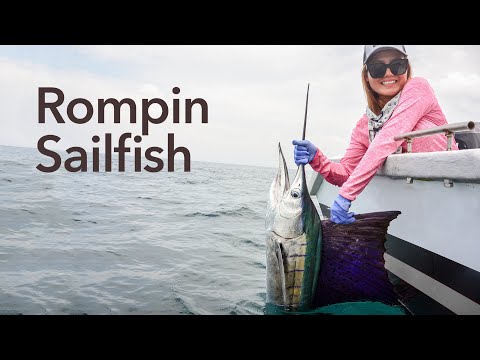 Beauty and The Fish (Rompin Sailfish Fishing)