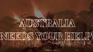 Australian Bushfire Crisis Gofundme Push