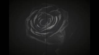 john my beloved instrumental (sufjan stevens  cover)