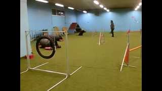 Kipina2021022012_0004.wmv