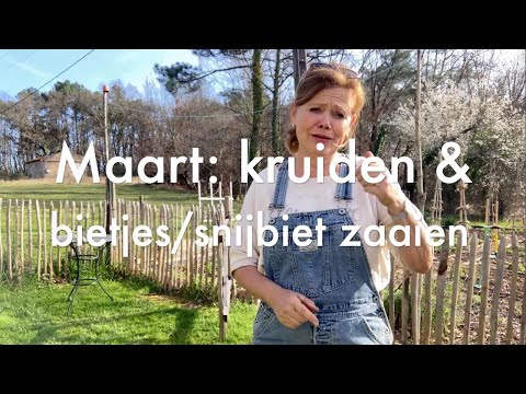 Ini&rsquo;s Moestuin #90   Maart: kruiden en bietjes zaaien & resultaten Winter Sowing experiment.