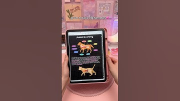 grwm to take digital notes 💕✏️ iPad note taking | study notes | apple pencil asmr