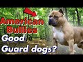 Are American Bully’s Good GUARD dogs? Or just show dogs?