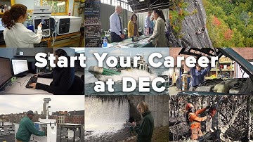 Start Your Career at DEC