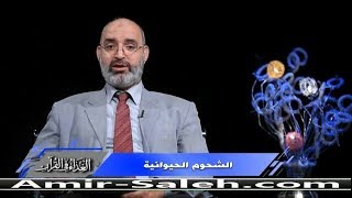 فوائد الشحوم الحيوانية | الدكتور أمير صالح | الغذاء في القرآن