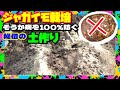 じゃがいも栽培｜土作りで絶対入れちゃダメなモノ そうか病を防ぐ最強対策