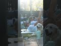 Outdoor Pilates: Expectation vs. Reality
