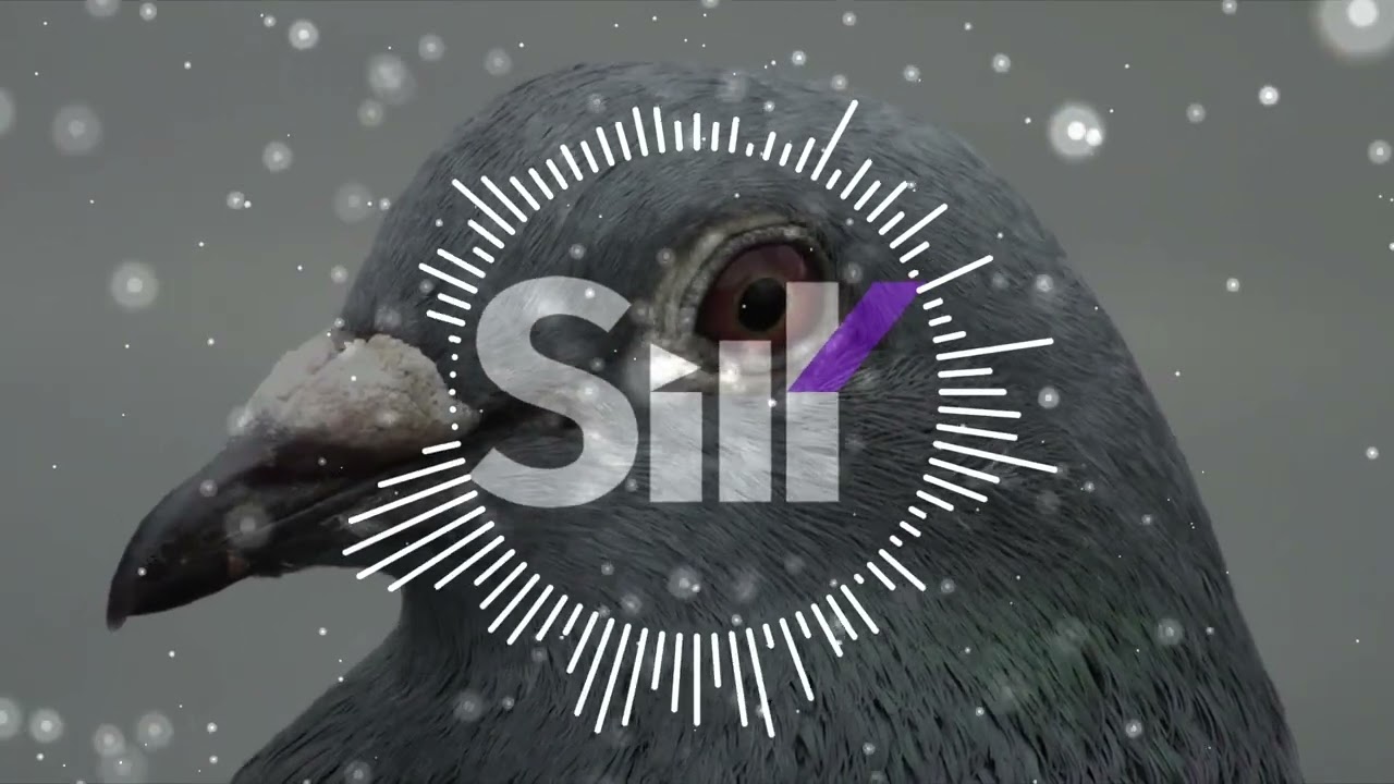 Παρακολούθηση uravnabeshen - Mind | 2024 στο YouTube Παρακολούθηση uravnabeshen - Mind | 2024 στο YouTube