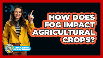 How Does Fog Impact Agricultural Crops? - Weather Watchdog