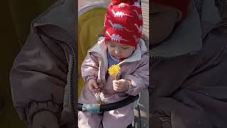 #video #дети #new #тикток #смешно #обзор #цветы #весна