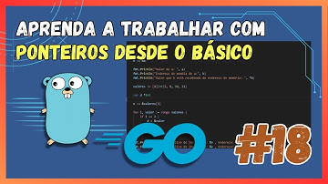 Ponteiros  desde o Básico, entenda como funcionam - ⚡ Seja Dev GoLang #18