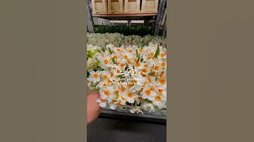 الله لطيف بعباده - اسلام صبحي حالات واتس اب دينية قصيرة قران كريم تلاوة خاشعة ومؤثرة بصوت جميل جدا