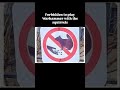Forbidden to play Warhammer with the squirrels - Games Workshop won’t allow it!