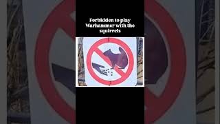 Forbidden to play Warhammer with the squirrels - Games Workshop won’t allow it!