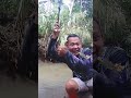 mancing nilem disungai belakang rumah #shorts