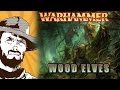 FFH Обзор: Армия “Wood Elves“ в Warhammer Fantasy battles