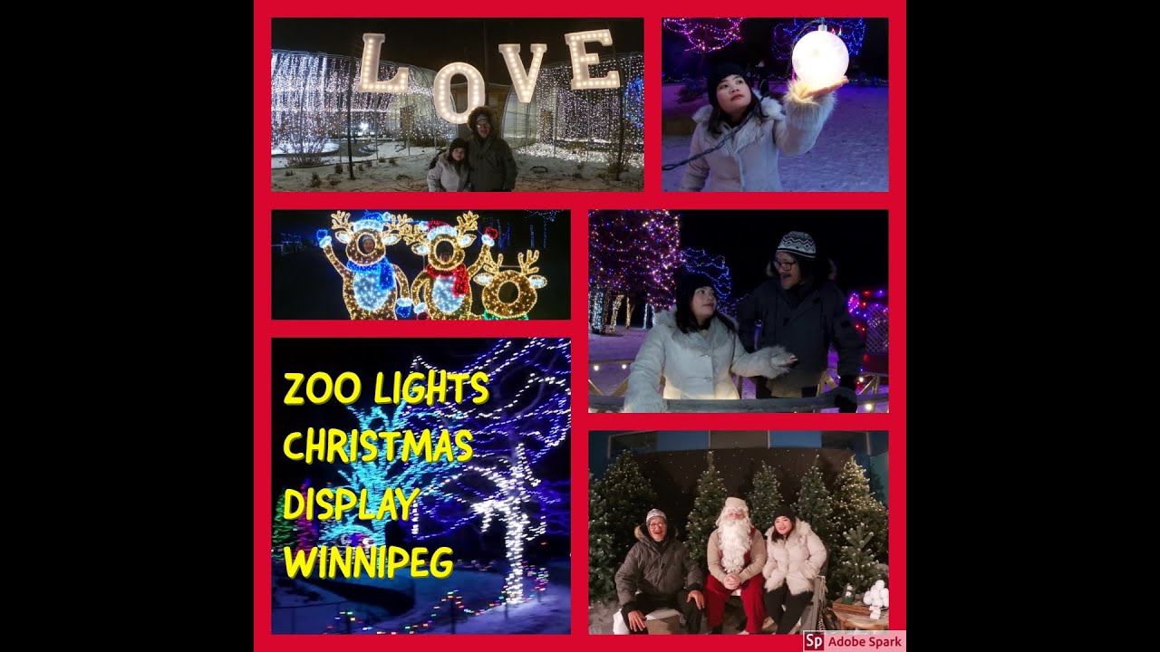 ZOO LIGHTS CHRISTMAS DISPLAY WINNIPEG YouTube