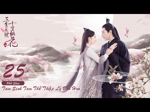 Video Tam Sinh Tam Thế Thập Lý Đào Hoa Tập 25 Eternal Love - youtube