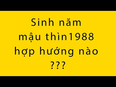 Sinh Năm 88 Hợp Màu Gì - Sinh năm mậu thìn 1988 hợp hướng nào màu sắc nào - Duy Anh Web