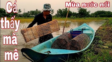 Tập 38 - THÂM LỢP CÁ MÙA NƯỚC NỔI / LỢP TRE ÉM CỐNG VÀ CÁI KẾT / PHONG VU TV