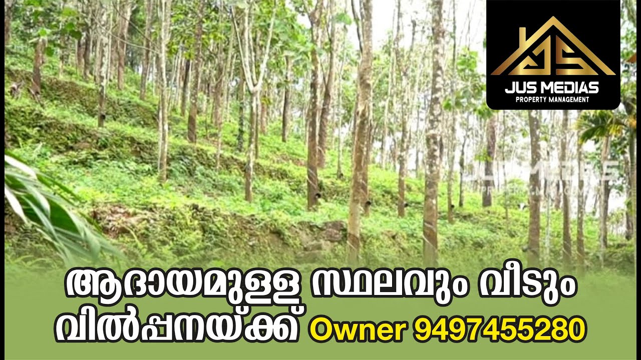 land for Sale In Pathanamthitta 65 Lakh Chittar By Owner YouTube