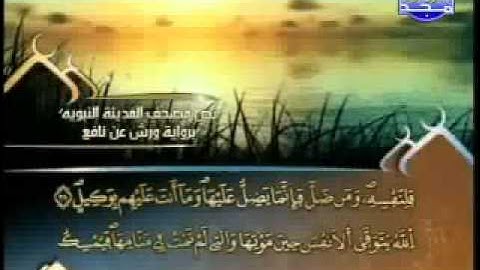 سورة الزمر الشيخ العيون الكوشي