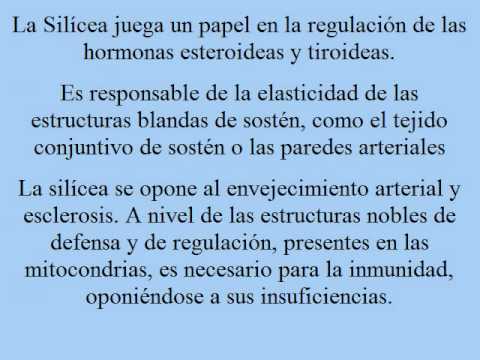 Homeopatia 1-la silicea.mp4 - YouTube