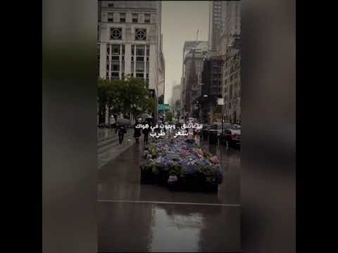 هيثم شاكر بحس بمعنى عمري معاك حالات واتس اب