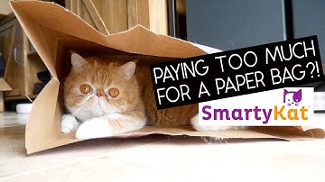 SMARTYKAT CATNIP CAVE REVIEW | SVEN AND ROBBIE