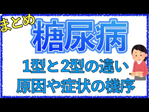 教科書をわかりやすく！「糖尿病の病態まとめ」1型と2型の違いや原因・症状の機序を解説！