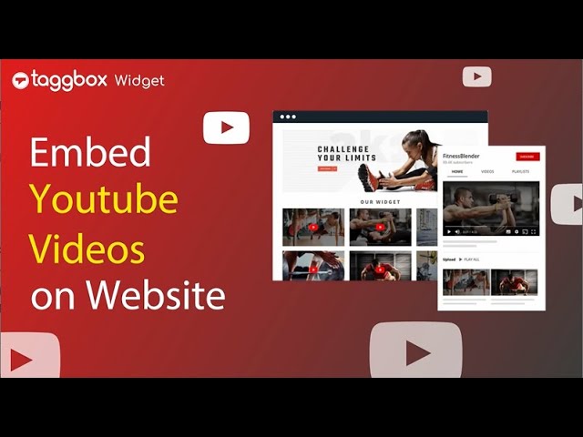 Tagbox – UGC Galleries, Social Media Widgets, User Reviews & Analytics –  WordPress plugin