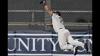 Aaron Hicks' CLUTCH Home Run & GAME-WINNING Catch! | July 23, 2019 | 2019 MLB Season Net Worth