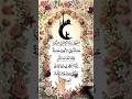 Rabbana Atina Fid Dunya#shorts #fyp #quranDaily dhikr