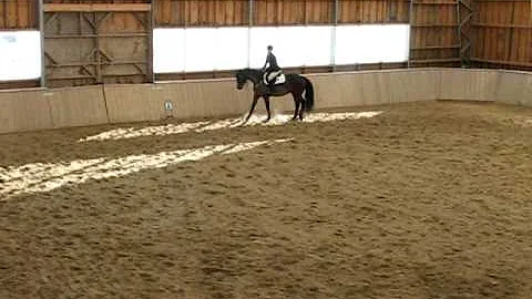 York OUEA show 2010 - Michelle Laughlin (Intermedi...