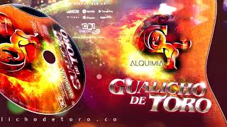 Miniatura de "Gualicho de Toro - Mariposa triste (Álbum: Alquimia 2019)"