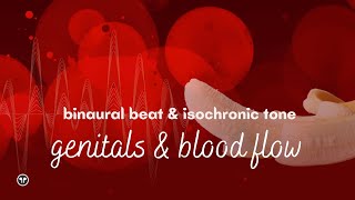 Frequency of the Genitals & Blood Flow | Binaural Beat 🎧 with Isochronic Tone