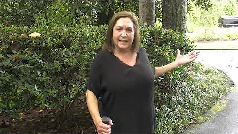 Home Garden Tour with Robin Pollack, North Fulton ...