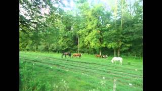Roads End Farm 2013