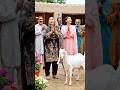 Gaon Wale Professor Bakri Ke Deewane Ho Gaye’🐐😂 #trending #comedy #villagelife #funny #viralreels
