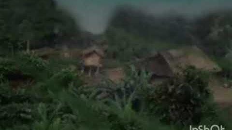 Pw nram teb dab poj ntxoog los hem CreepyStory