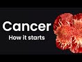 The Hidden Mistake That Starts Every Cancer