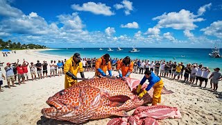 The $1,000,000 Giant Grouper Trip – Deep-Sea Longline Fishing Documentary