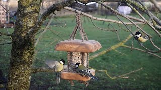 Bird feeder by Uudopuu