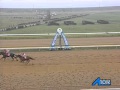 2011/09/29 荒尾競馬10R 大阿蘇賞 ミブロボーイ