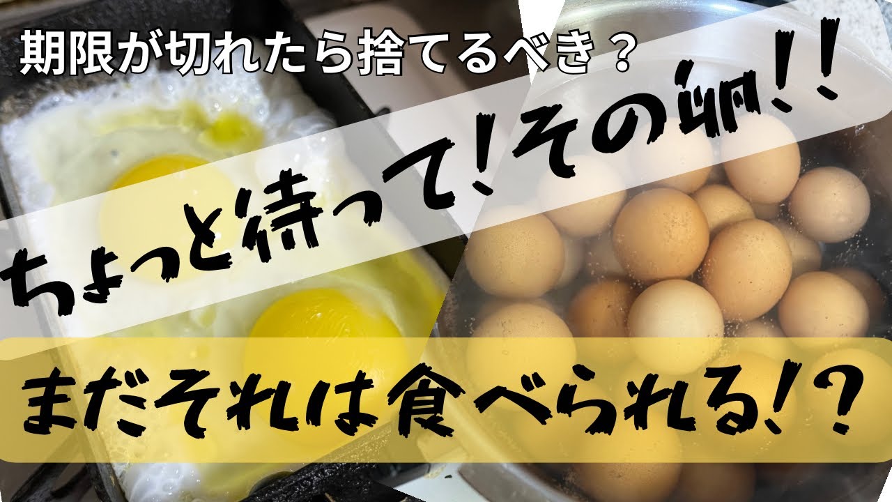 ちょっと待って！その卵！賞味期限切れ卵は食べられる？
