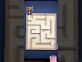 Super Fast Maze Race: Bombardier Beetle vs Centipede!