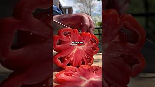 Why Joe Rogan Hates American Tomatoes