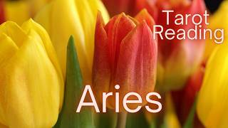 Aries, After Everything You've Been Through... This Is Your Breakthrough | Tarot Reading